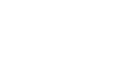 Partnership Logo